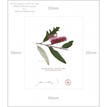 Grevillea 'Poorinda Royal Mantle' Diptych - 8″ × 10″ Prints Ready to Frame With 12″ × 14″ Mats and Backing